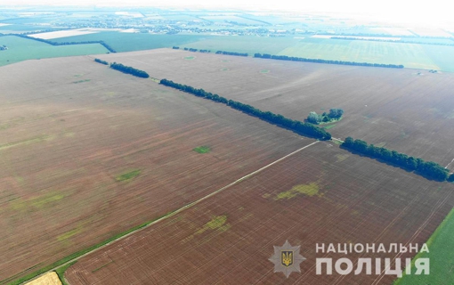 На Полтавщині керівнику ТОВ повідомили про підозру в незаконному посіві понад 230 млн нарковмісних рослин. ФОТО. ВІДЕО