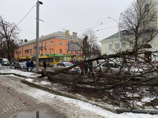 У Полтаві дерево обірвало дроти, тролейбуси стоять