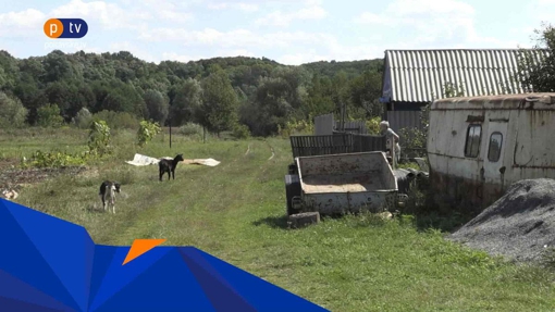 У селі під Полтавою люди живуть без зв'язку, магазинів та громадського транспорту