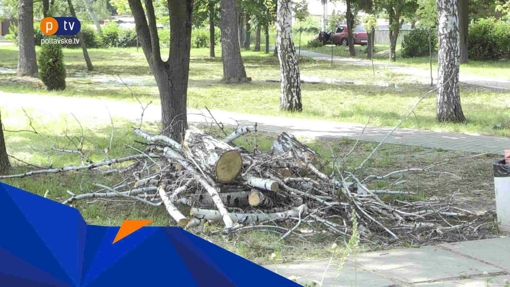 На чоловіка впало дерево, яке комунальники відмовилися прибирати