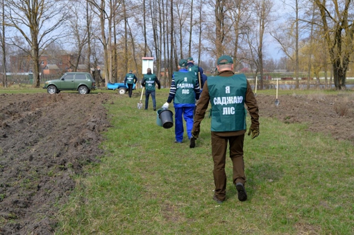 Лісники Полтавщини в рамках акції з озеленення планети висадили понад 63 тис. саджанців