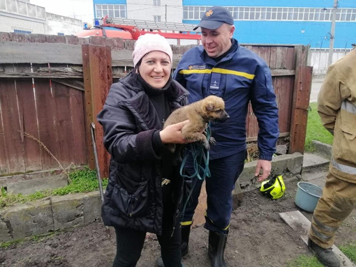 На Полтавщині надзвичайники дістали цуценя з колодязя