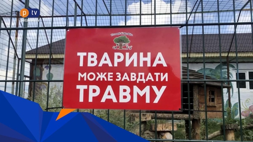 Під Полтавою на чоловіка напала пантера