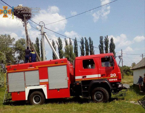 У Полтавській області врятували лелеченя, яке випало з гнізда