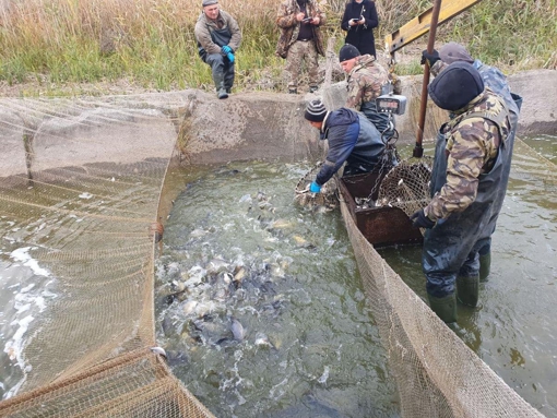 У Полтавській області річку зарибнили коропом