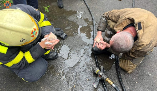 На Полтавщині під час пожежі врятували кошенят