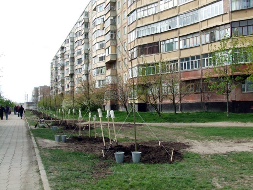 На капітальний ремонт бульвару у Полтаві оголосили тендер на понад 7 млн грн