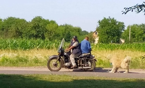 У Полтавській області двоє чоловіків знущалися з собаки