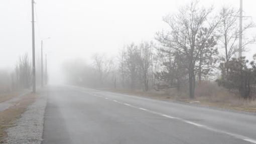 На Полтавщині через туман оголосили жовтий рівень небезпечності