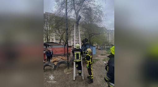 У Кременчуці з дерева зняли дитину