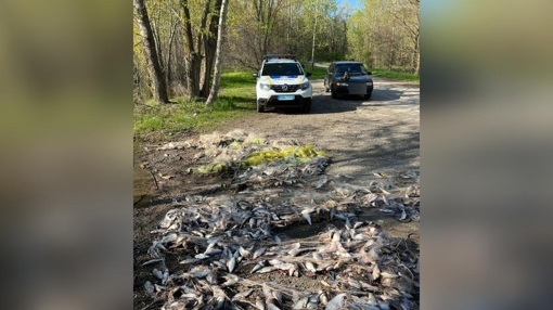 На Кременчуцькому водосховищі виявили три кілометри браконьєрських сіток