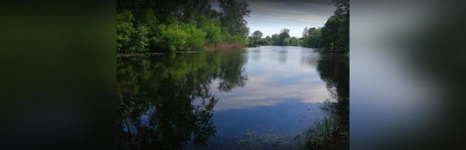 Два пляжі у Полтаві не відповідають санітарним нормам