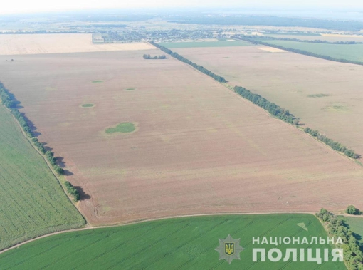 На Полтавщині виявили 280 га незаконних посівів нарковмісних речовин. ФОТО. ВІДЕО