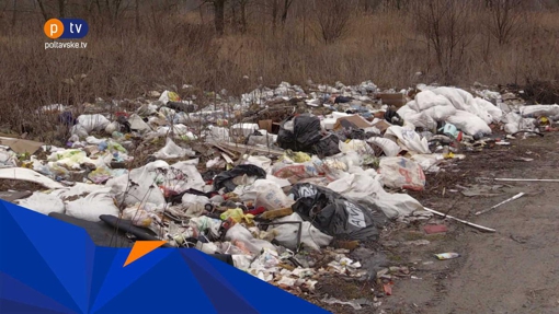 У селищі Лісок обабіч дороги утворилося стихійне сміттєзвалище