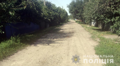 На Полтавщині собака напала на дев’ятирічного хлопчика: дитину госпіталізували