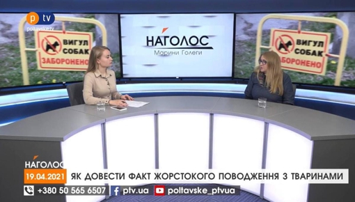 Сказано на PTV. Кращі цитати з наших програм