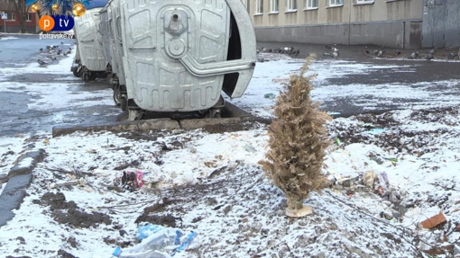 У Полтаві ялинки збиратимуть в окремих місцях та спалюватимуть для обігріву приміщень