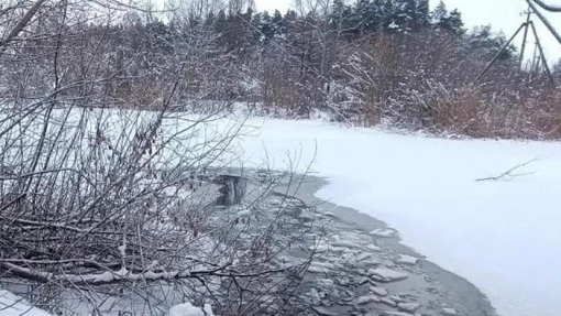 На Полтавщині чоловік врятував 4-річну дитину, яка провалилась під кригу