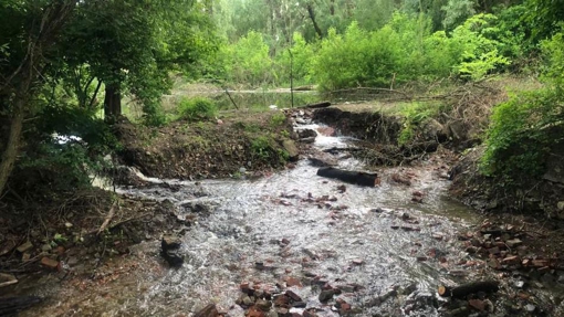 На Полтавщині невідомі облаштували свою дамбу