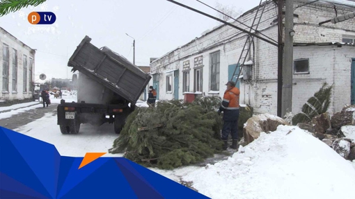 Після свят комунальники почали збирати ялинки на утилізацію