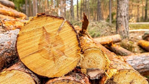 На Полтавщині правоохоронця підозрюють у завданні державі близько 700 тис. грн збитків